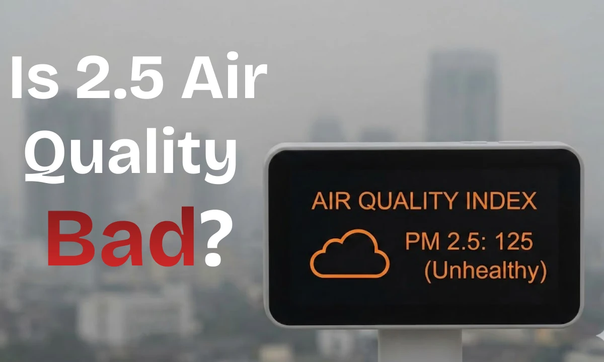 Is 2.5 Air Quality Bad